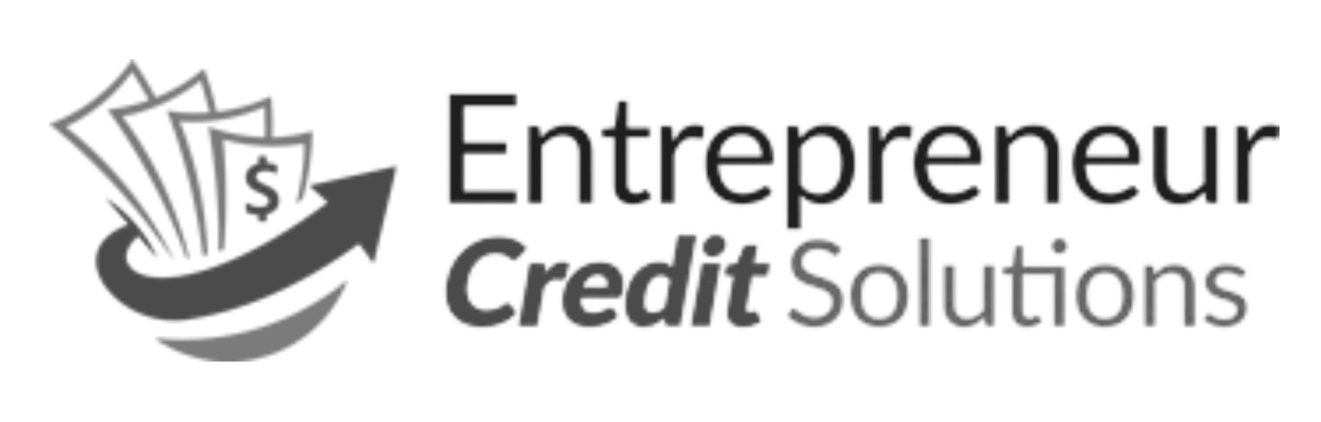 Entrepreneur credit solutions