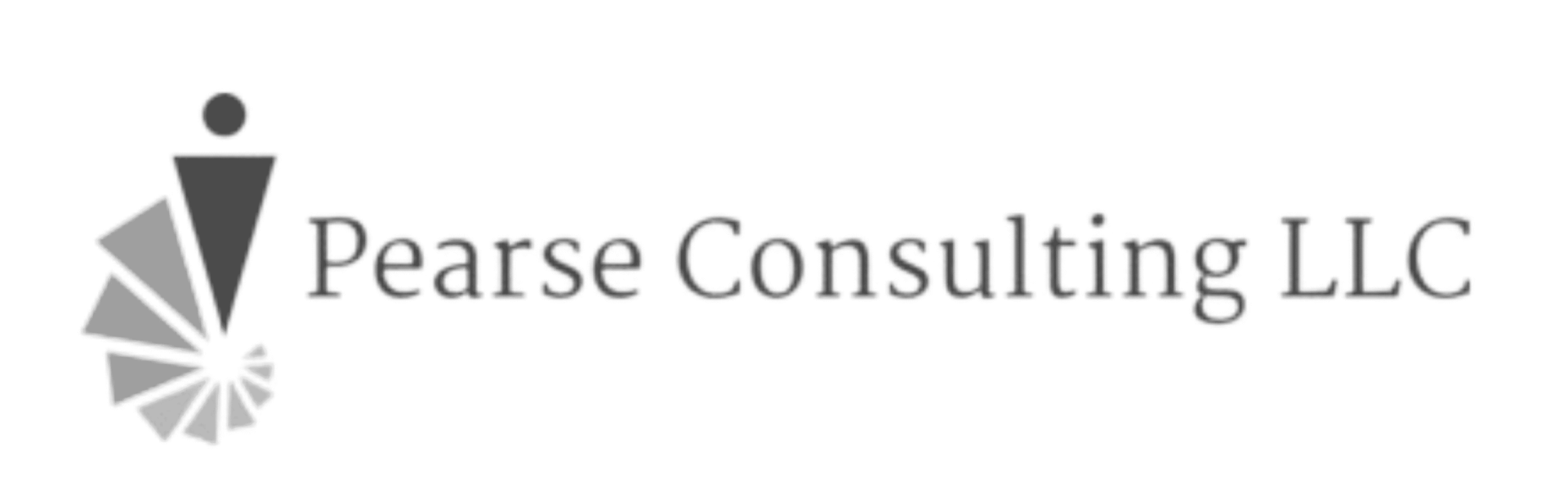parse consulting logo